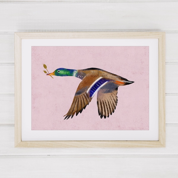 Mallard Duck Art Print, Red Bird Art Print, Colorful Bird Art Print, Mallard Duck Bird Illustration Print, Water Bird Art Wall Decor AP-107