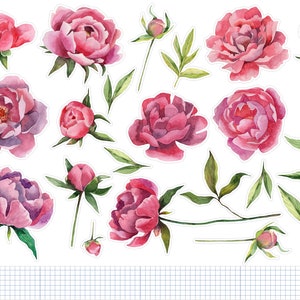 Watercolor Pink Peonies Planner Stickers, Floral Penpal Stickers, Botanical Planner Stickers, Pink Flower Bullet Journal Stickers. J-117