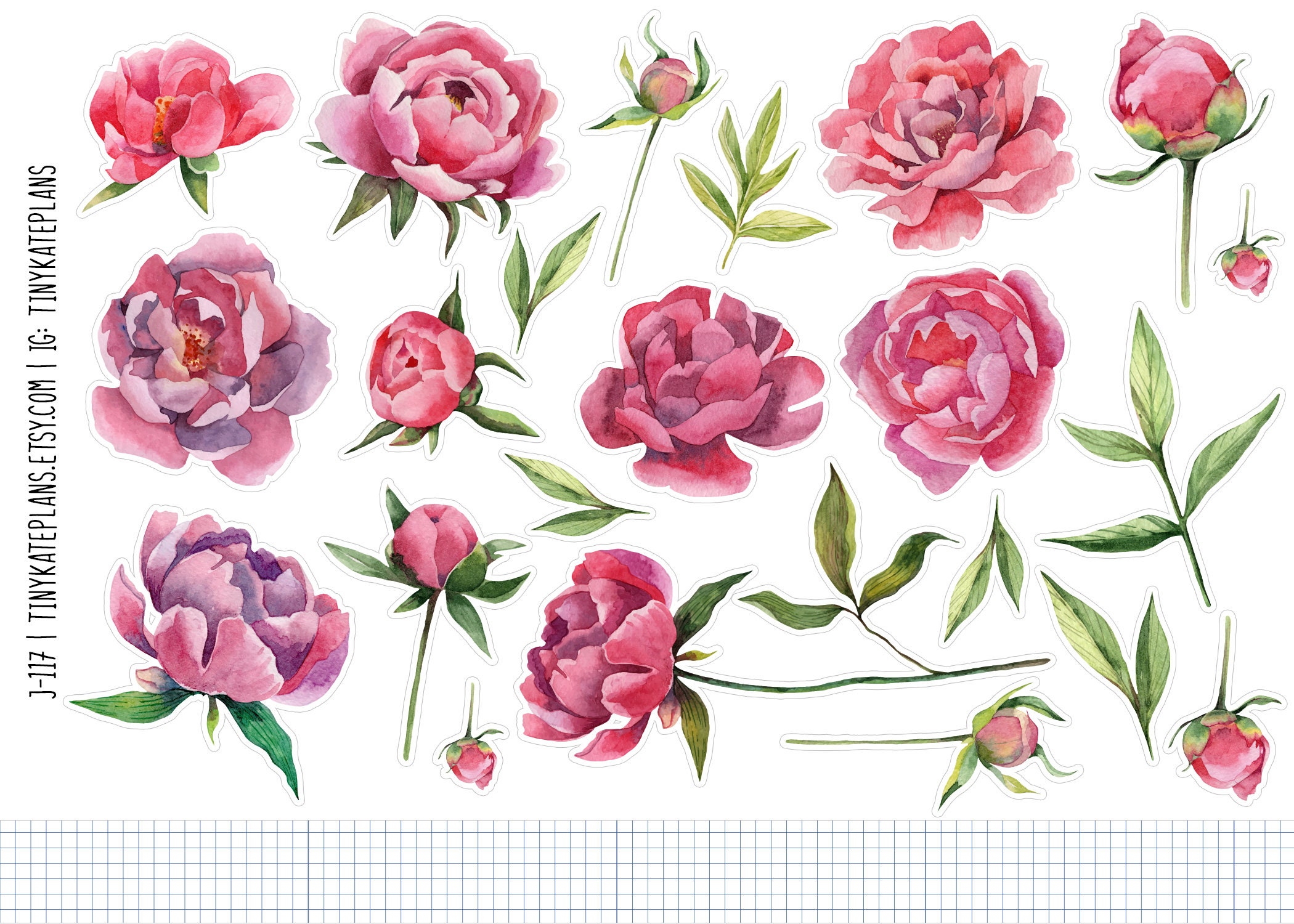 Watercolor Pink Peonies Planner Stickers, Floral Penpal Stickers ...