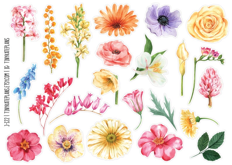 May include: A collection of watercolor floral stickers featuring various flowers in shades of pink, orange, yellow, purple, and white. The stickers include roses, anemones, and other blooms, perfect for scrapbooking or crafting. The text "TINY KATE PLANS" is visible.