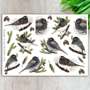 May include: A digital paper pack featuring 10 illustrations of black and white birds with brown accents. The birds are perched on branches with small brown cones. The illustrations are on a white background.