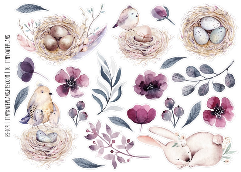 May include: Watercolor illustrations of birds, nests, eggs, flowers, and a bunny. The illustrations are in shades of pink, purple, and gray. The illustrations are perfect for scrapbooking, card making, and other craft projects.