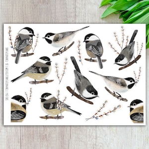 Stickers oiseau mésange à tête noire, stickers oiseau stupide, stickers oiseau mignon, stickers imprimés oiseau mésange. SBS-136