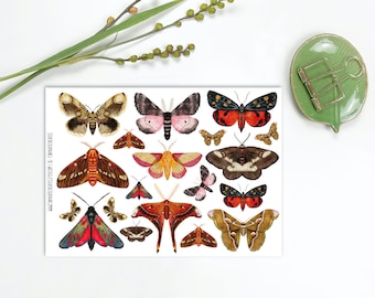 Moth Sticker Set 3, Entomology Butterfly Insects Junk Journal Stickers, Insect Moth Ephemera, Colorful PenPal Moth Stickers. A-210