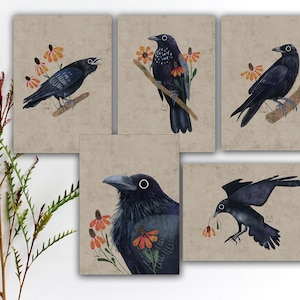 Set di cartoline Raven, adesivi Blackbird, cartolina di corrispondenza Raven Bird, adesivi colorati di uccelli, stampa artistica acquerello di un grazioso corvo. SBC-117