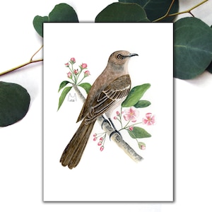 Carte postale de moqueur polyglotte, cartes postales d'oiseau d'état de l'Arkansas, carte postale de correspondant moqueur polyglotte, carte postale d'impression d'art d'oiseau d'état d'aquarelle