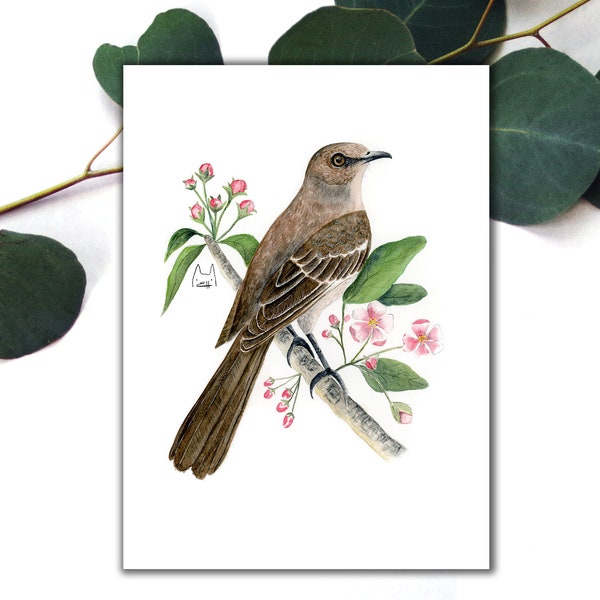 Northern Mockingbird Postcard, Arkansas State Bird Postcards, Penpal Northern Mockingbird Postcard, Watercolor State Bird Art Print Postcard