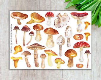 Autocollants aquarelle champignons, autocollants champignons, autocollants mignons champignons, autocollant champignon Bujo, automne confortable. T-188