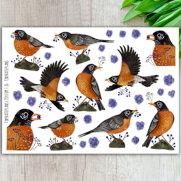 American Robin Planner Stickers, Silly Bird Planner Stickers, Cute Bird Stickers, Orange Bird Stickers, Bird Art Print Stickers. SBS-127