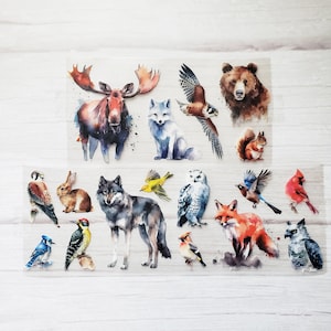 Watercolor Forest Animals PET Tape Sample, Tiny Clear Animal Stickers, Forest Animal Scrapbooking Stickers, Winter Animal Bujo Stickers.