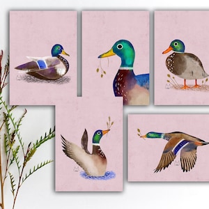 Ensemble de cartes postales de canard colvert, cartes postales colorées d'oiseau vert, autocollants colorés d'oiseau de colvert, impressions d'art d'oiseau de canard d'aquarelle. SBC-107