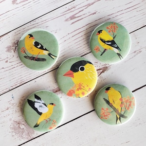 Pode incluir: Cinco botões redondos verdes com contornos brancos, cada um com um pássaro amarelo diferente com marcas pretas em um fundo verde com flores laranja.