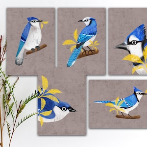 Set di cartoline con ghiandaia azzurra, cartolina con uccello colorato, cartolina con amica di penna con ghiandaia azzurra acquerellata, adesivi con uccello ghiandaia azzurra, stampa artistica con uccello ghiandaia azzurra. SBC-121