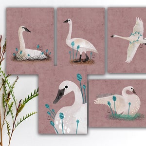 Lot de cartes postales cygne trompette, cartes postales oiseaux colorés, carte postale aquarelle cygne trompette, stickers oiseaux, impressions d'art oiseaux. SBC-118