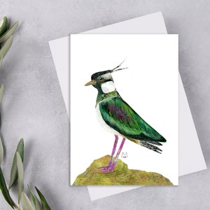 Lapwing Bird Paper Collage Postcard, Wading Lapwing Bird Penpal Postcard, Colorful Lapwing Postcard, Lapwing Art Print. CAP-113