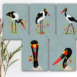 Saddle-billed Stork Postcard Set, Colorful Bird Postcards, Watercolor Stork Penpal Postcard, Stork Bird Stickers, Bird Art Prints. SBC-119