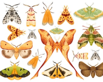 Green And Yellow Moth Stickers, Entomology Butterfly Insects Junk Journal Stickers, Insect Ephemera, Colorful PenPal Moth Stickers. A-190