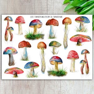 Kleurrijke paddestoel planner stickers, gezellige herfst planner stickers, herfst paddestoel stickers, paddestoel Bullet Journal planner stickers. J-215