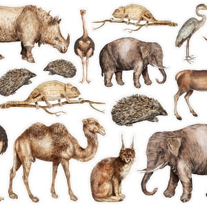 Adesivi per pianificatore di mix di animali marroni, adesivi per animali carini, adesivi per album di ritagli di animali, adesivi per animali penpal, adesivi per posta felice. A-169