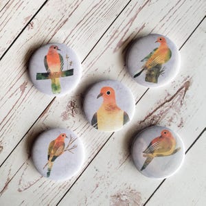 May include: Five round button pins with a white background and a watercolor illustration of a bird on each. The birds are all different colors and have a variety of poses.