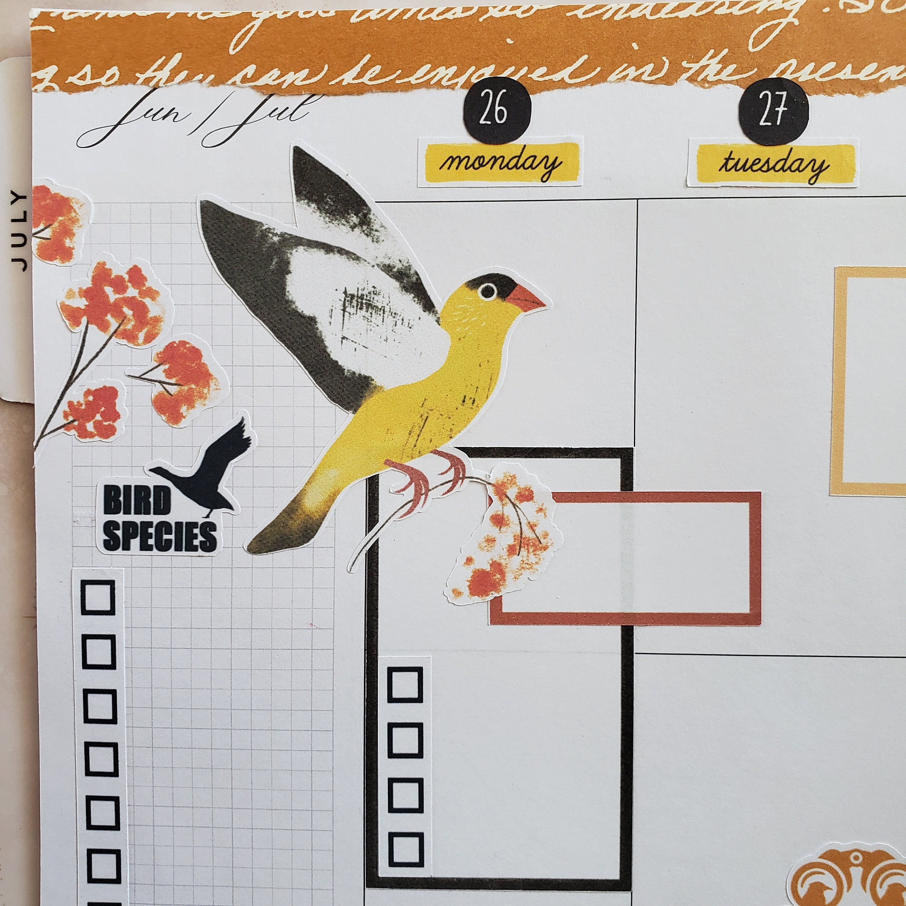 Bird Species Header Planner Stickers, Bird Watching Planner Stickers ...