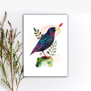 Starling Postkarte, wunderliche Vogel Postkarte, süße rosa Vogel Postkarte, Sommer Vogel Postkarte, Frühling Vogel Karte. PC-114