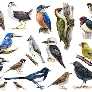 Adesivi uccellini acquerello per diari spazzatura, adesivi per album di ritagli forestali di ispirazione vintage, uccelli effimeri, adesivi per animali vintage. A-194