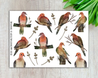 Mourning Dove Planner Stickers, Silly Bird Planner Stickers, Cute Bird Stickers, Colorful Bird Stickers, Bird Art Print Stickers. SBS-100