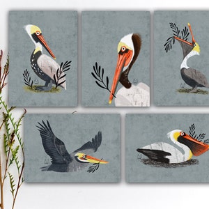 Set di cartoline con pellicano bruno, cartolina con uccello colorato, cartolina con amico di penna con pellicano bruno ad acquerello, adesivi con pellicano, stampa artistica con uccello. SBC-120