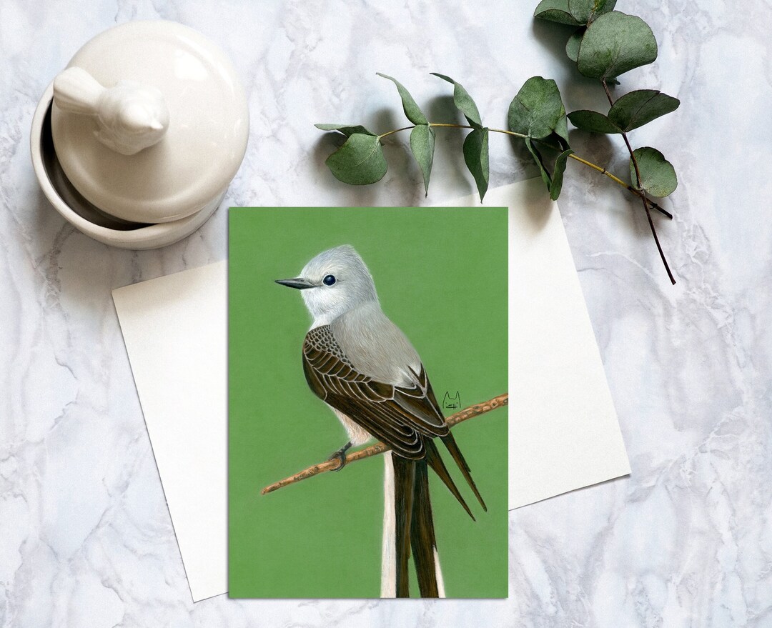 Fly Postcard Scissor-tailed Fly Catcher Bird Postcard, Bird Postcards, Realistic ...
