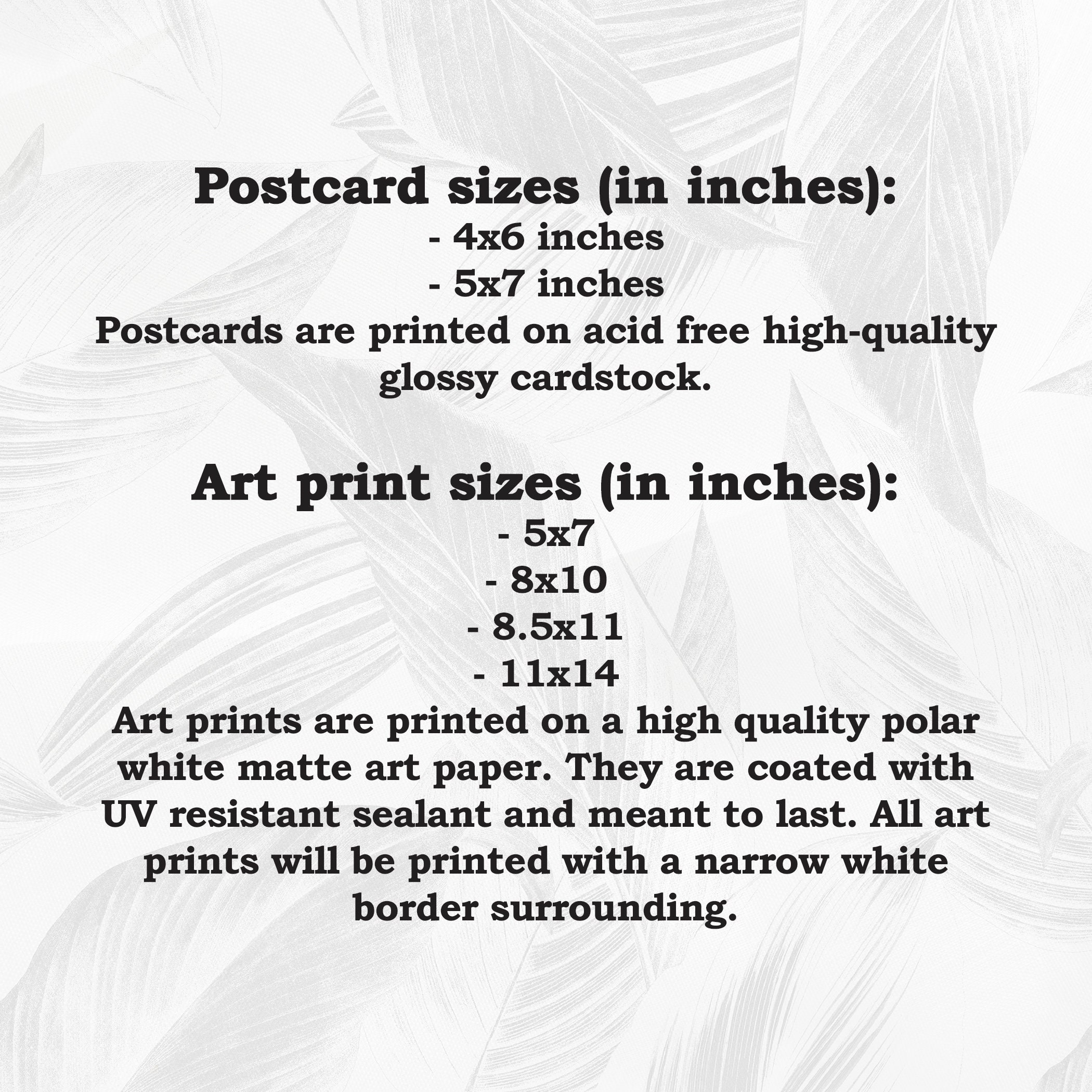 Fly Postcard Scissor-tailed Fly Catcher Bird Postcard, Bird Postcards, Realistic ...