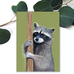 Carte postale raton laveur curieux, carte postale art animalier pastel doux, carte postale correspondant renard, carte postale art animalier de la forêt, carte pastel pastel. ANC-100