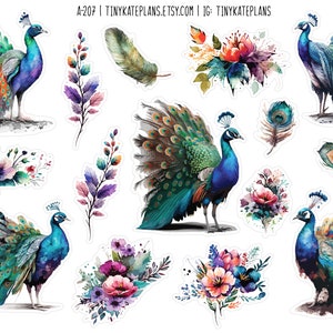 Stickers paons et fleurs, stickers oiseaux tropicaux, stickers oiseaux colorés, stickers bujo oiseau paon mignon. A-207
