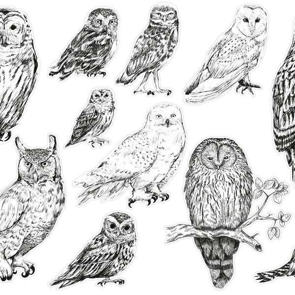 Black & White Owl Stickers For Junk Journals, Vintage Owl Scrapbook Stickers, Ephemera, Vintage Forest Stickers. VT-115