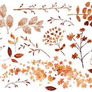 Watercolor Golden Fall Planner Stickers, Cozy Fall Planner Stickers, Fall Leaves Stickers, Fall Bullet Journal Planner Stickers. T-135.