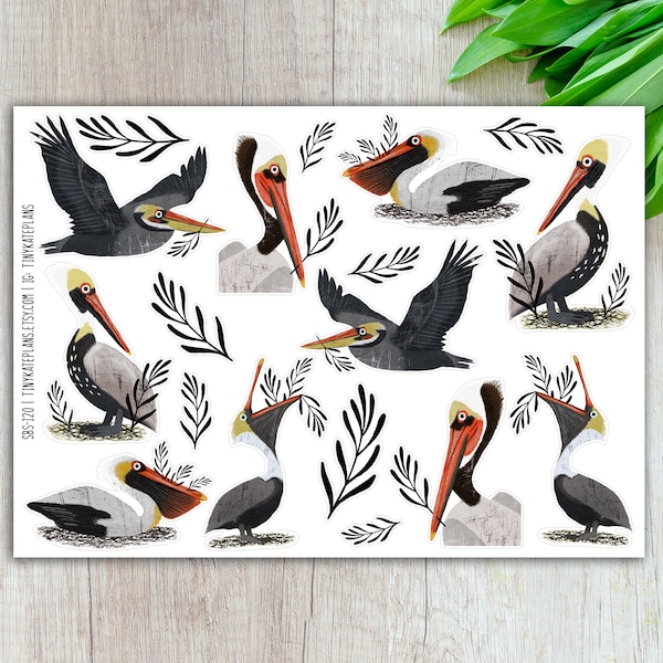 Brown Pelican Planner Stickers, Silly Bird Planner Stickers, Cute Bird Stickers, Colorful Bird Stickers, Bird Art Print Stickers. SBS-120