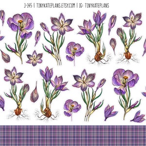 Purple Floral Stickers, Purple Flower Penpal Stickers, Botanical Planner Stickers, Flower Bullet Journal Stickers, Summer Florals. J-145