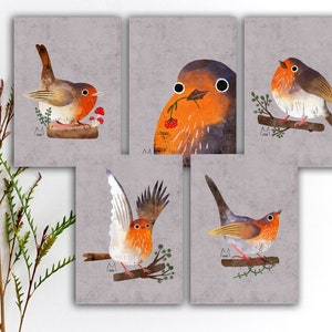 Lot de cartes postales rouge-gorge anglais, cartes postales oiseaux oranges colorés, autocollants colorés oiseaux rouge-gorge anglais, impressions d'art aquarelle oiseaux. SBC-105