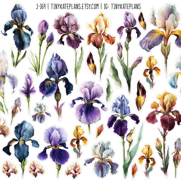 Iris Floral Stickers, Purple Flower Penpal Stickers, Yellow Botanical Planner Stickers, Flower Bullet Journal Stickers, Summer Floral. J-169