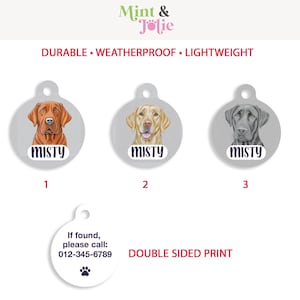Personalized Labrador Retriever Pet ID Tag: Custom Dog Cat Tag