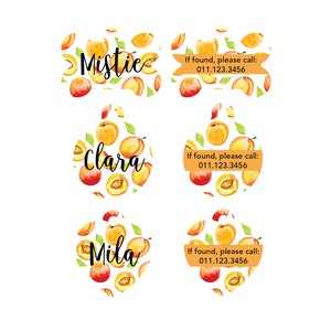 Watercolor Peaches Pet ID Tags Cat Tag Personalized Pet Tags Dog ID Tag Dog Lost Tags Lost Dog Tag Pet Gift Customized