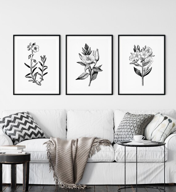 Set of Three Black and White Plants Gallery Wall Art Kitchen | Etsy