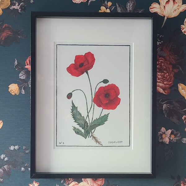 Peinture Coquelicot