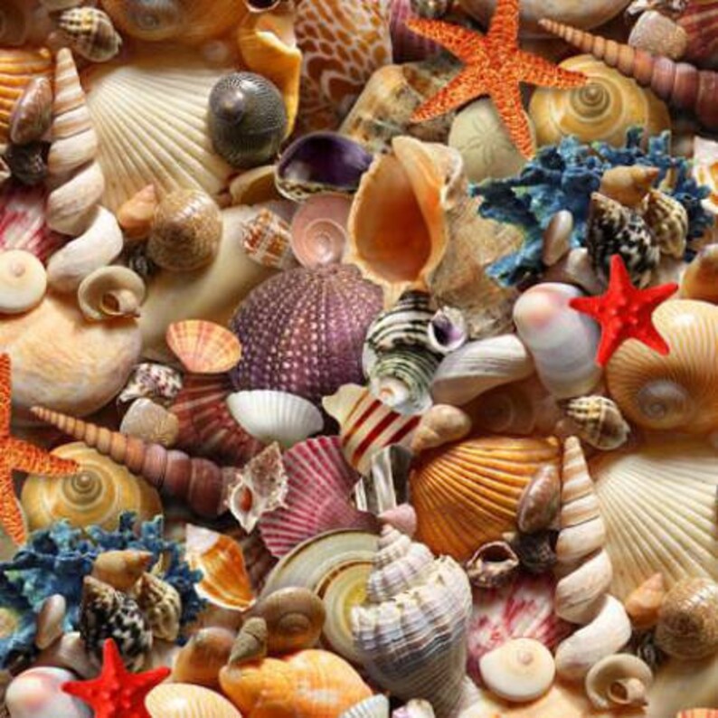 Fabric Elizabeth Studios Fabric Children of the Sea Fabric by the Yard Quilting Fabric Ocean Fabric,392E-MLT Seashell Fabric