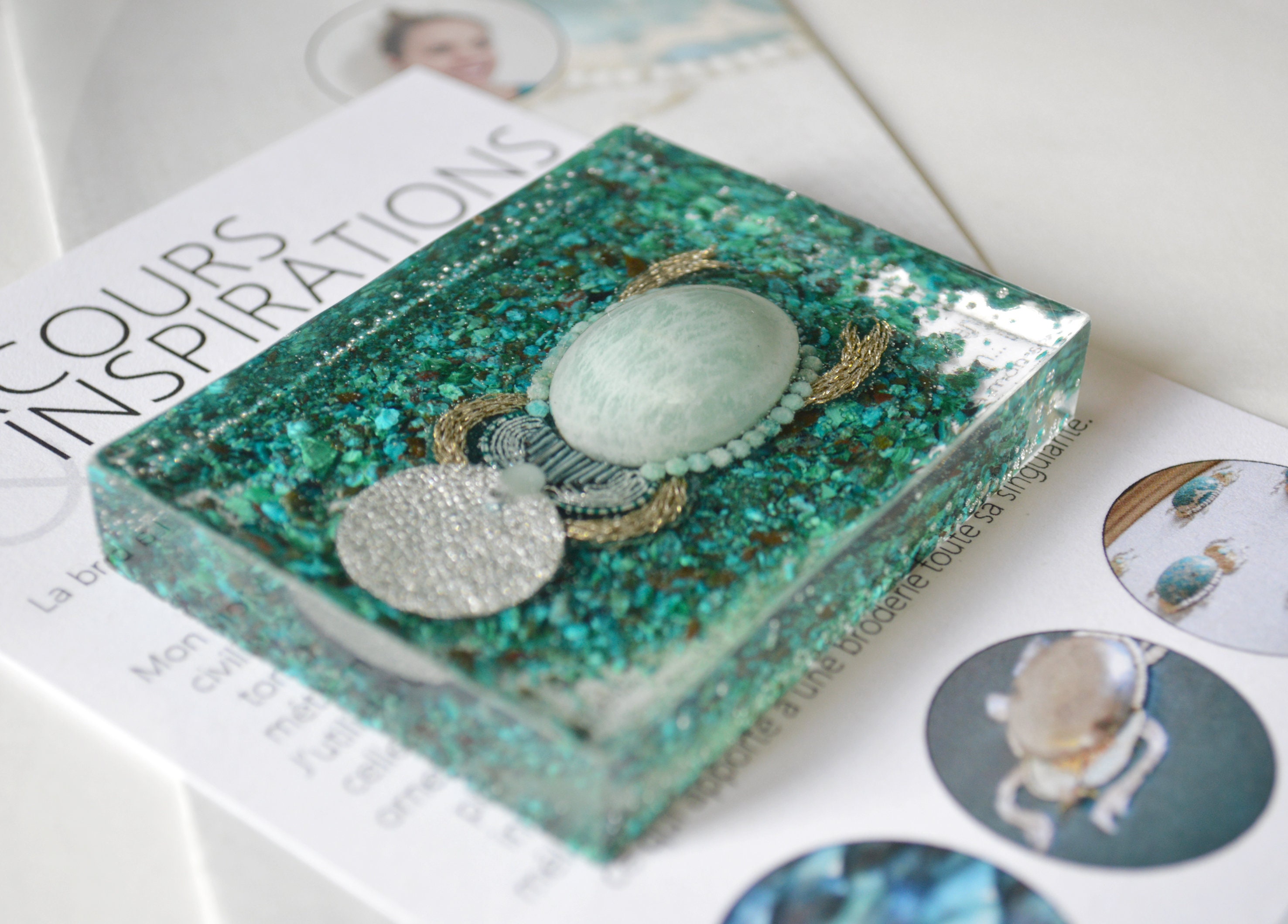 Curiosité Brodée/Insecte Dans Résine Scarabée en Broderie Naturalisé