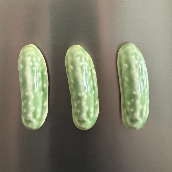 Pickle Magnet-Retro Refrigerator Magnet