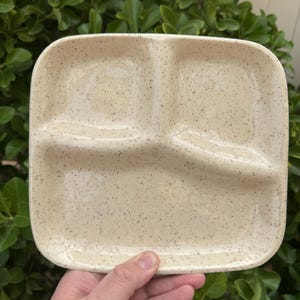 Ceramic Lunch Trays -white with  speckles -Snack Plate Retro TV Dinner Tray/ Portion Control Plate