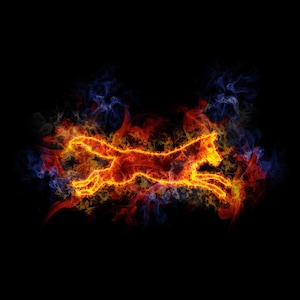 Può includere: Una silhouette di lupo arancione e giallo fiammeggiante che salta in aria, circondata da fumo blu e arancione vorticoso.