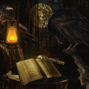 Op de afbeelding: Digitale illustratie van twee zwarte raven in een donker bos. Eén raaf houdt een brandende lantaarn vast, de andere zit op een tak. Een open boek ligt op een boomstronk, verlicht door de lantaarn. Een volle maan schijnt op de achtergrond.