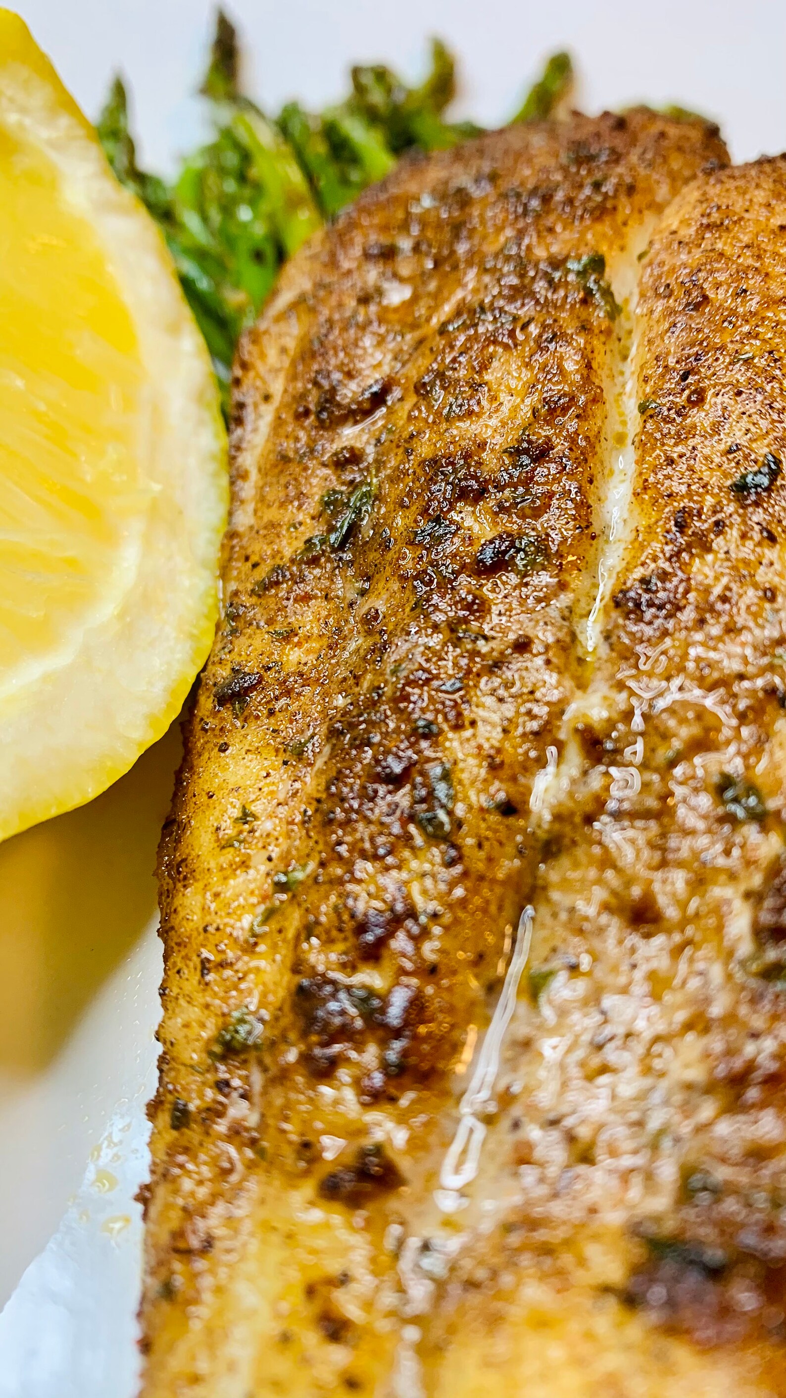 Caribbean Dry Jerk Rub Recipe BONUS Jerk Fish Recipe Etsy.de